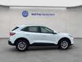 Ford Kuga 2.5 Duratec PHEV TITANIUM Weiß - thumbnail 6