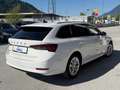 Skoda Octavia Combi 2,0 TDI Style DSG / Mwst. Ausweisbar Weiß - thumbnail 5