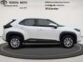 Toyota Yaris Cross Hybrid FWD Business Edition Navi Apple CarPlay And Blanc - thumbnail 6