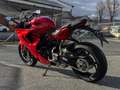 Ducati SuperSport 950 Czerwony - thumbnail 4
