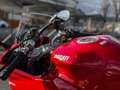 Ducati SuperSport 950 Rouge - thumbnail 6