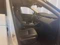 Land Rover Range Rover Evoque 2.0D I4 163 CV AWD Auto SE Blanc - thumbnail 17