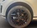 Land Rover Range Rover Evoque 2.0D I4 163 CV AWD Auto SE Blanc - thumbnail 14