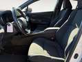 Toyota C-HR 125H Advance Blanco - thumbnail 7