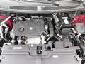 Opel Grandland 1.5CDTi S&S GS Aut. 130 Rojo - thumbnail 22