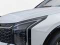 Kia Sportage 1.6D 48V Spirit DCT Sound Drive MJ26 Blanc - thumbnail 7