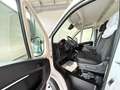 Opel Movano C Kasten L2H2 Edition*KLIMA*R.CAM*AHK*TEM Bianco - thumbnail 14
