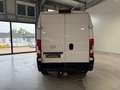 Opel Movano C Kasten L2H2 Edition*KLIMA*R.CAM*AHK*TEM Bianco - thumbnail 8