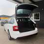 Skoda Octavia Combi RS 2,0 TDI 4x4 DSG Weiß - thumbnail 10