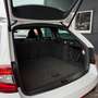 Skoda Octavia Combi RS 2,0 TDI 4x4 DSG Weiß - thumbnail 11
