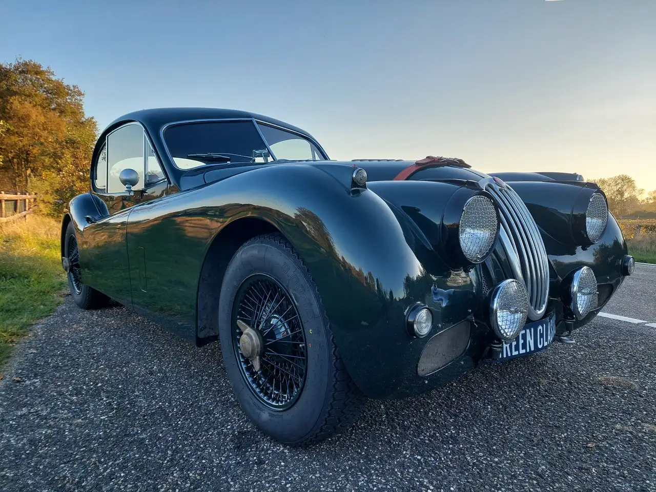 Jaguar XK 1955