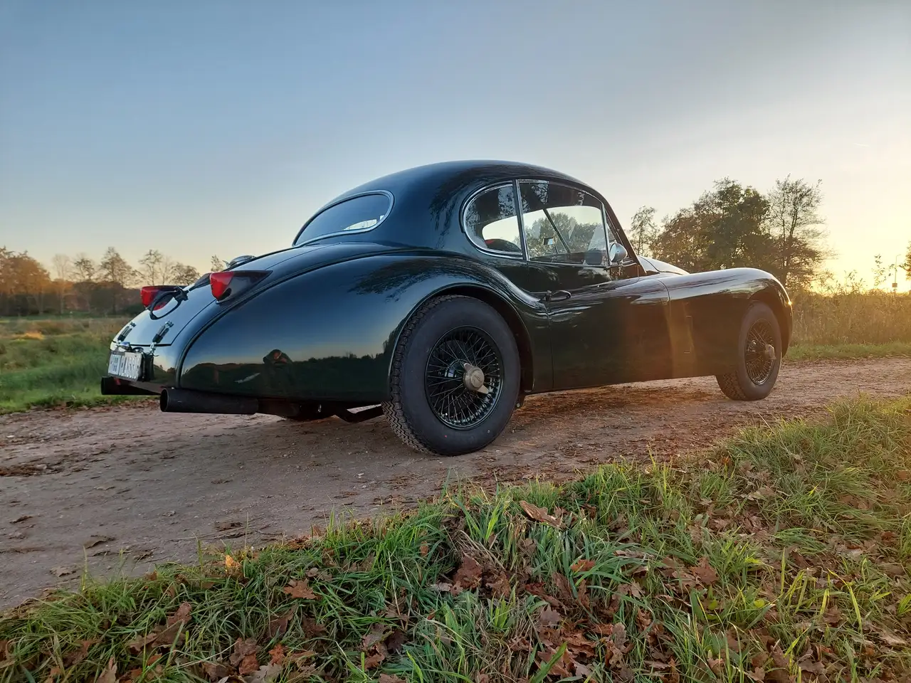 Jaguar XK 140 FHC SC, foto 4