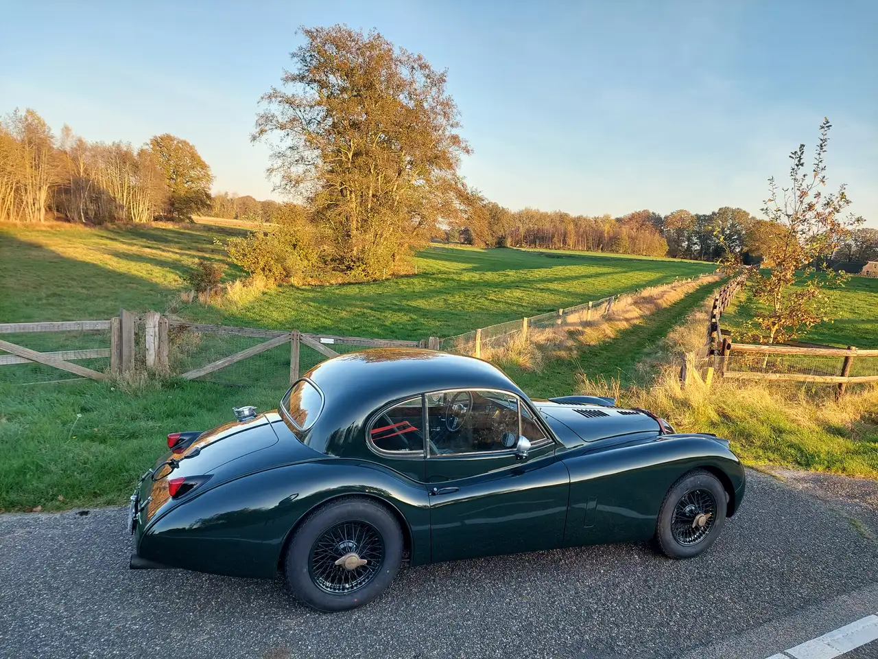 Jaguar XK 140 FHC SC, foto 2