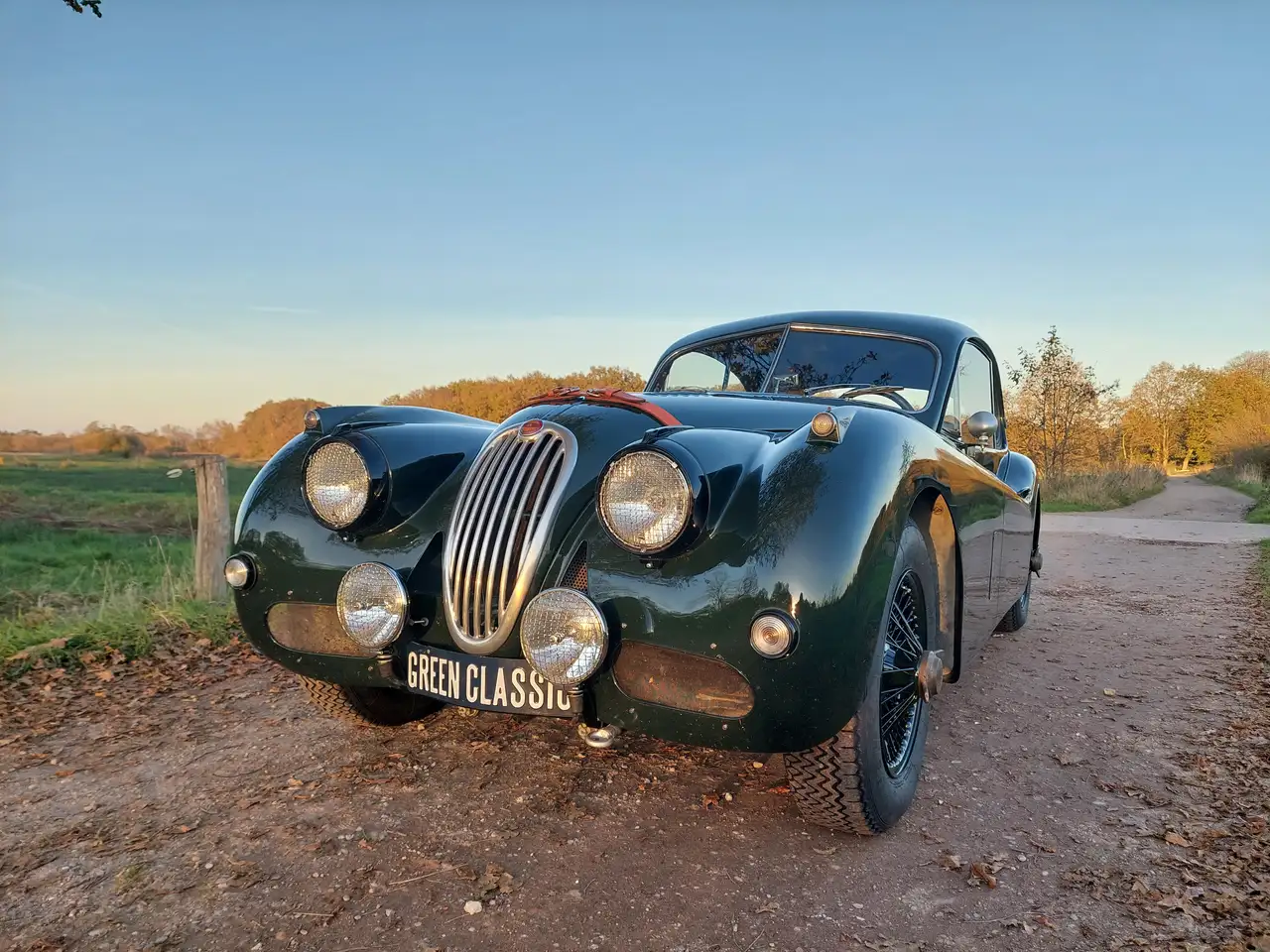 Jaguar XK 140 FHC SC, foto 3