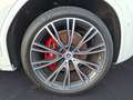 BMW X3 xDrive30d M SPORT AHK Laserlicht Parking Plus Weiß - thumbnail 12