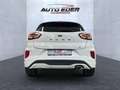 Ford Puma Hybrid ST-Line X leichter Hagel Sportpaket Weiß - thumbnail 8
