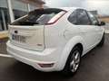 Ford Focus 1.6TDCi Trend 109 Blanco - thumbnail 8