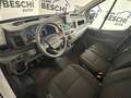 Ford Transit 350 2.0 EcoB.130CV L3.TA Cassone Fisso. 355X210 Alb - thumbnail 7