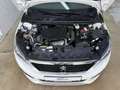 Peugeot 308 Active 1,5HDi ''LED-PDC-AHK-Alu'' Weiß - thumbnail 14