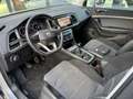 SEAT Ateca 1.5 TSI Xperience Intense*New Model*ACC*EXPORT/ EX Gris - thumbnail 6