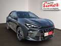 CUPRA Terramar 1.5 e-TSI DSG Sennheiser Premium Grau - thumbnail 19