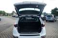 Kia Sportage 1.6 GT-Line 4WD  KLIMA NAVI AUTOMATIK Blanco - thumbnail 14