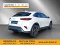 Kia XCeed Xceed 1,5 TGDI 48V GPF Silber DCT Weiß - thumbnail 5