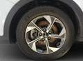 Kia XCeed Xceed 1,5 TGDI 48V GPF Silber DCT Weiß - thumbnail 13