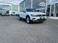 Volkswagen Tiguan Allspace 2.0 TDI Highline 4Motion Klima Leder Einparkhilfe Blanc - thumbnail 5