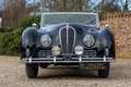 Oldtimer Delahaye 135M Figone & Falaschi Cabriolet "A concours quali Schwarz - thumbnail 20