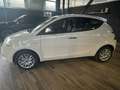Lancia Ypsilon Ypsilon III  1.2 Gold 69cv neopatentati Beige - thumbnail 11