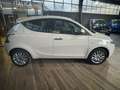 Lancia Ypsilon Ypsilon III  1.2 Gold 69cv neopatentati Beige - thumbnail 9
