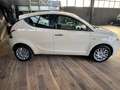Lancia Ypsilon Ypsilon III  1.2 Gold 69cv neopatentati Beige - thumbnail 16