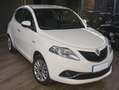 Lancia Ypsilon Ypsilon III  1.2 Gold 69cv neopatentati Beige - thumbnail 2