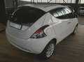 Lancia Ypsilon Ypsilon III  1.2 Gold 69cv neopatentati Beige - thumbnail 5