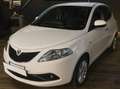 Lancia Ypsilon Ypsilon III  1.2 Gold 69cv neopatentati Beige - thumbnail 3