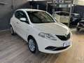 Lancia Ypsilon Ypsilon III  1.2 Gold 69cv neopatentati Beige - thumbnail 15