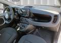 Fiat Panda 1.0 70cav HYBRID + PACK CITY *PRONTA*CONSEGNA*KM0 Bianco - thumbnail 8