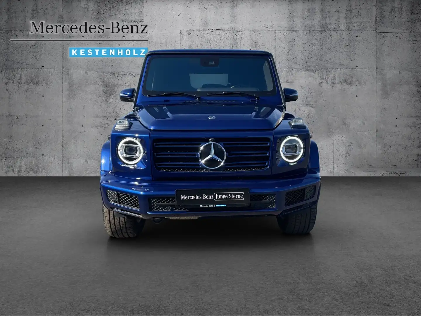 Mercedes-Benz G 400 G 400 d PROFESSIONAL+TV+360°+GSD+DISTRONIC+AHK Modrá - 2