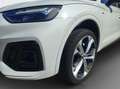 Audi Q5 40 TDI quattro|S-line|AHK|RFK|LED|Virtual Bianco - thumbnail 13