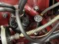 MG TD - ONLINE AUCTION Rot - thumbnail 26