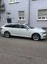 Skoda Superb Combi 2.0 TDI DSG Ambition - thumbnail 2
