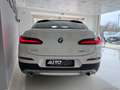 BMW X4 xDrive20d 48V xLine Bianco - thumbnail 6