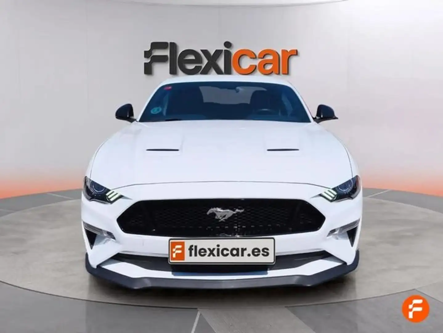 Ford Mustang 5.0 Ti-VCT V8 336kW GT A.(Fast.) Blanco - 2