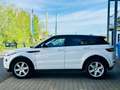 Land Rover Range Rover Evoque Dynamic 4x4Leder Memory Xenon Weiß - thumbnail 1