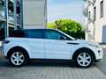 Land Rover Range Rover Evoque Dynamic 4x4Leder Memory Xenon Weiß - thumbnail 6