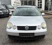 Volkswagen Polo IV Cricket Klima 1.Hand SHZ Schiebedach Nav Silber - thumbnail 2