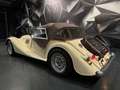 Morgan Plus 8 V8 Rover 3.5 193 CH Weiß - thumbnail 5