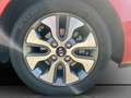 Kia Picanto 1.0 Dream Team Rot - thumbnail 18