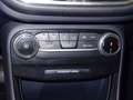 Ford Puma 1.0 EcoBoost 92kW (125cv) Titanium MHEV Gris - thumbnail 15